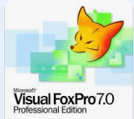 Visual FoxPro and FoxPro for DOS Video&nbsp;Books
