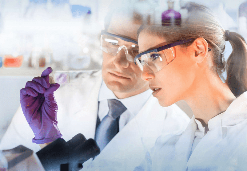 The Transitional Phase Between Life And&nbsp;Death